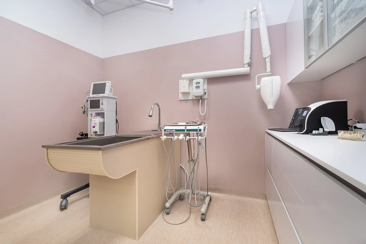 Dentalni rendgen 2