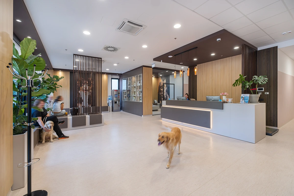 Recepcija